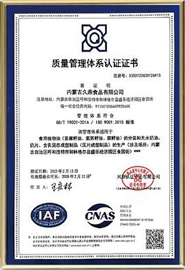 ISO9001國際質量管理體系認證
